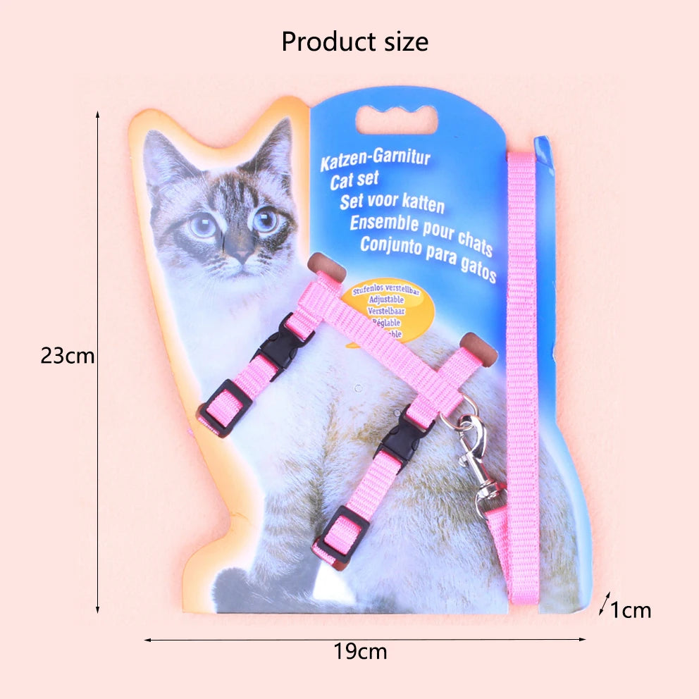 Cat leash