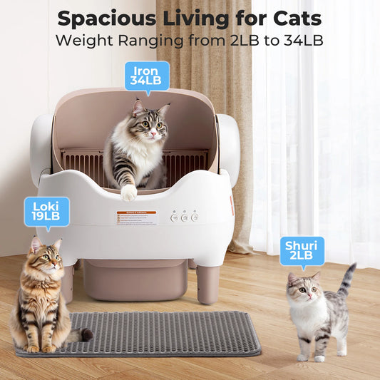 Automatic cat cleaning