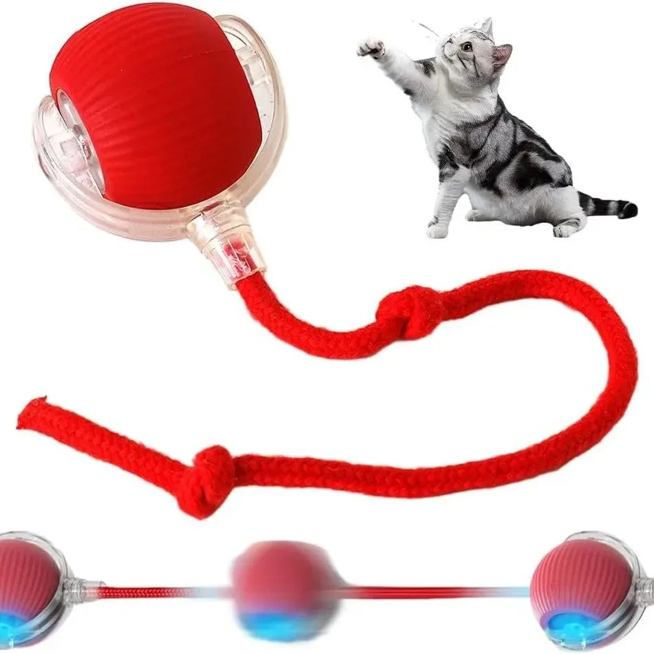 Smart Rotating Cat Toy