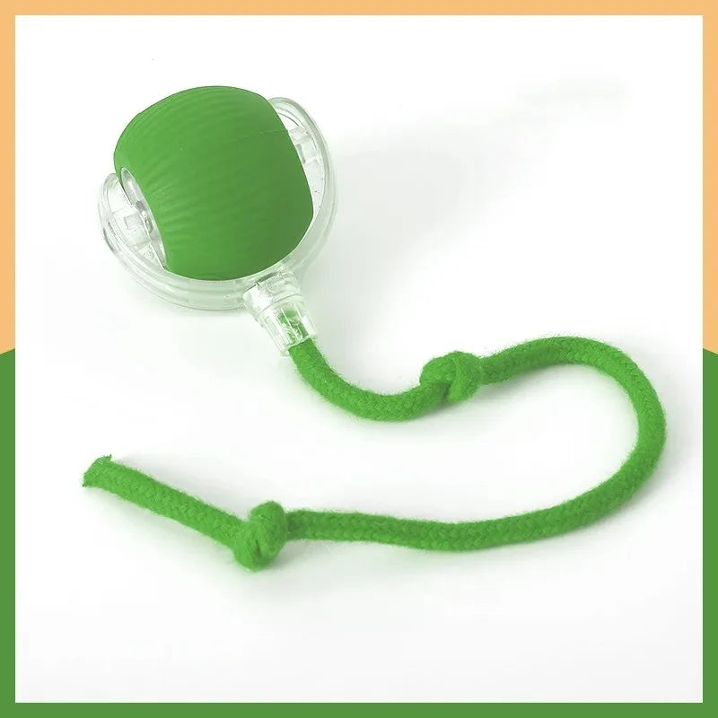 Smart Rotating Cat Toy