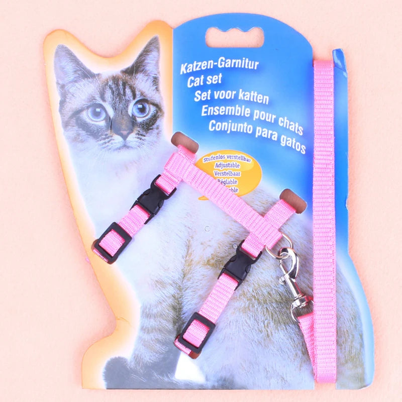 Cat leash