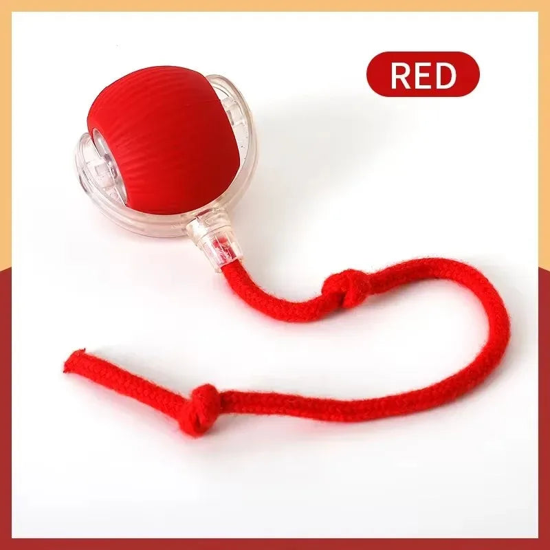 Smart Rotating Cat Toy