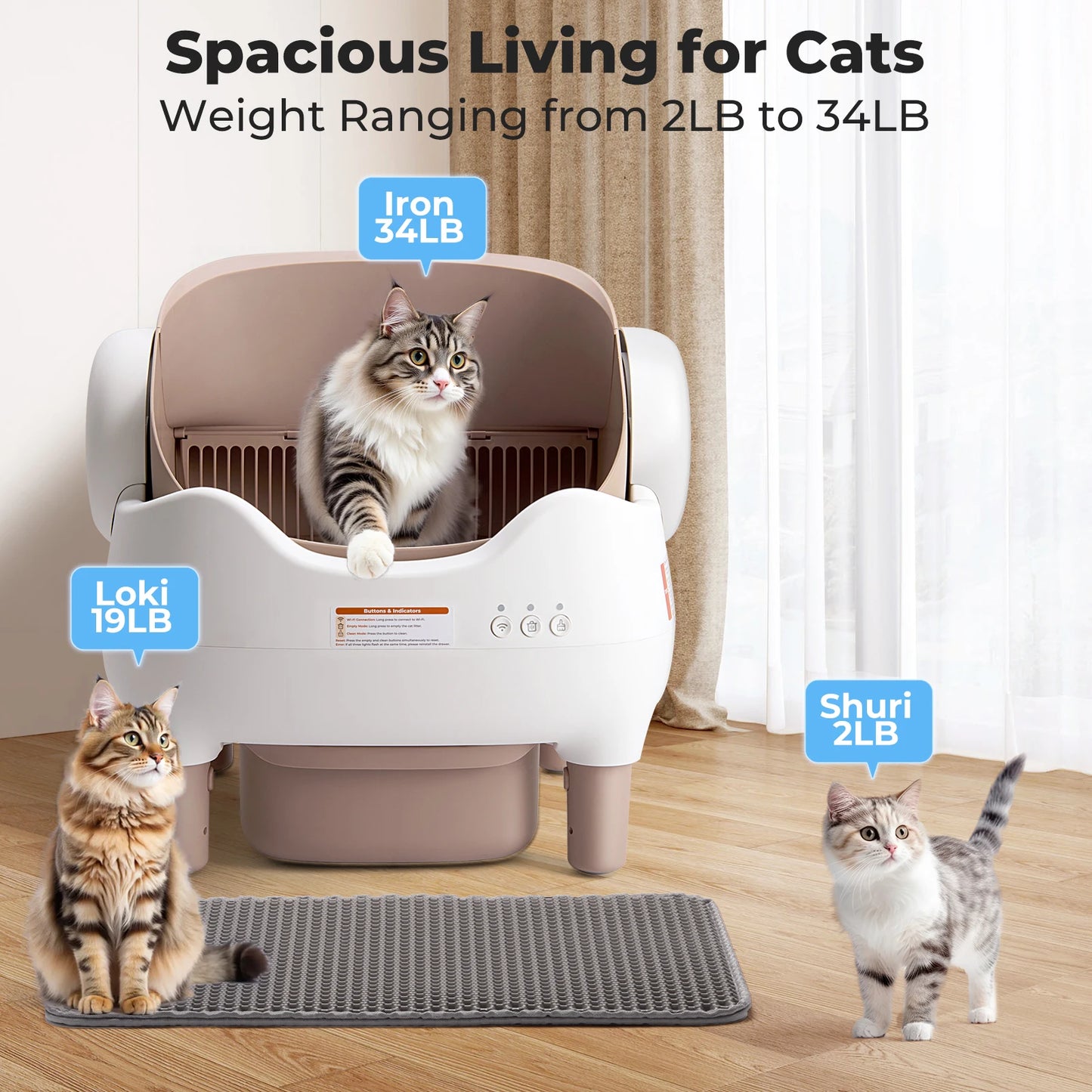 Automatic cat cleaning