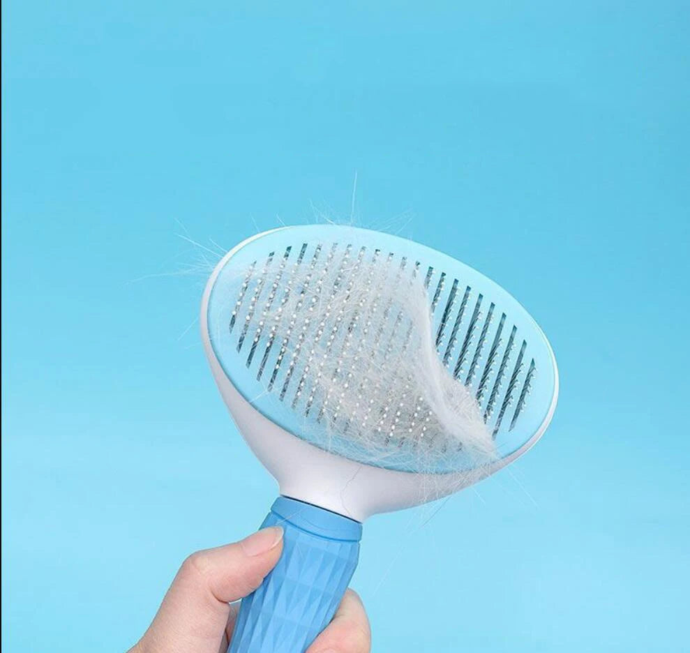 Pet cat Hair Brush