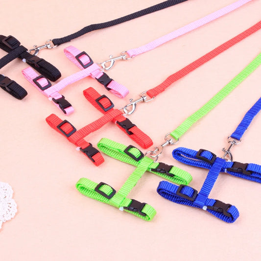 Cat leash