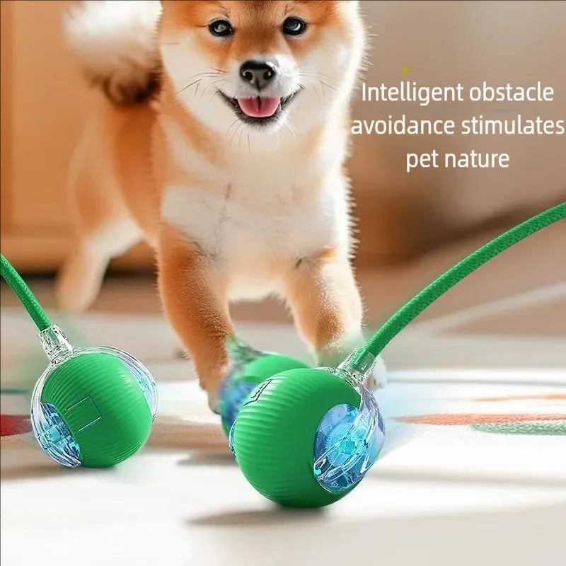 Smart Rotating Cat Toy