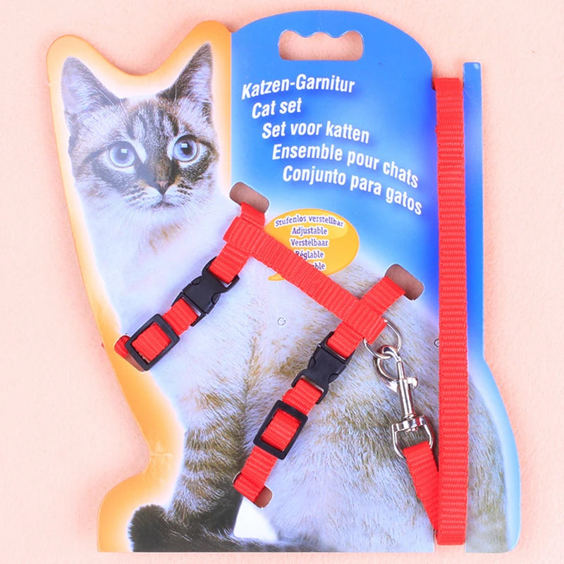 Cat leash