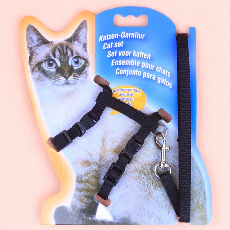 Cat leash