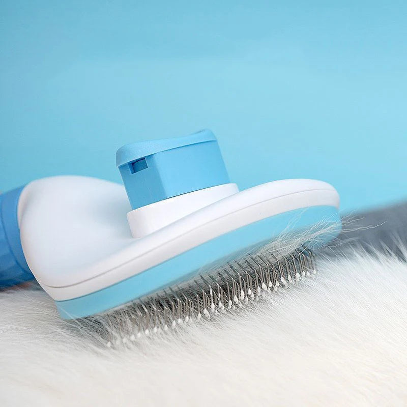 Pet cat Hair Brush