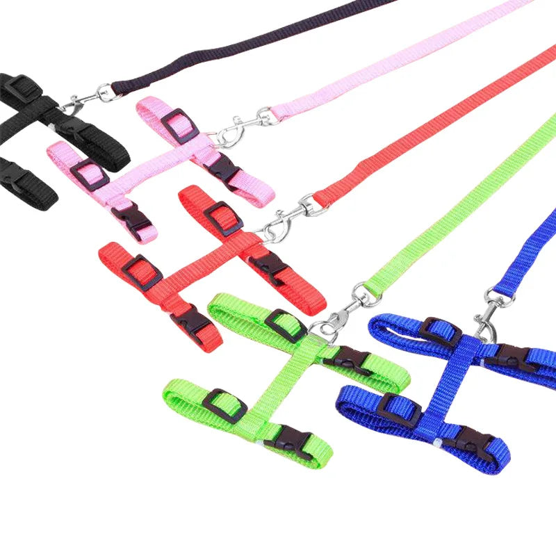 Cat leash