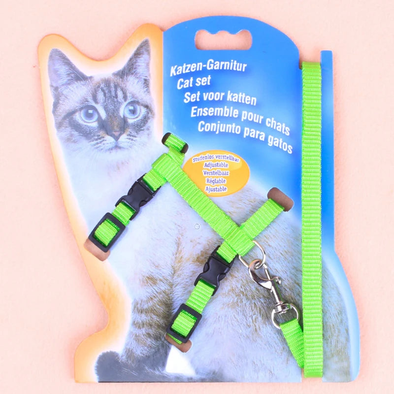 Cat leash