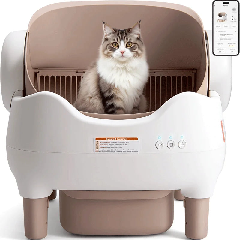 Automatic cat cleaning