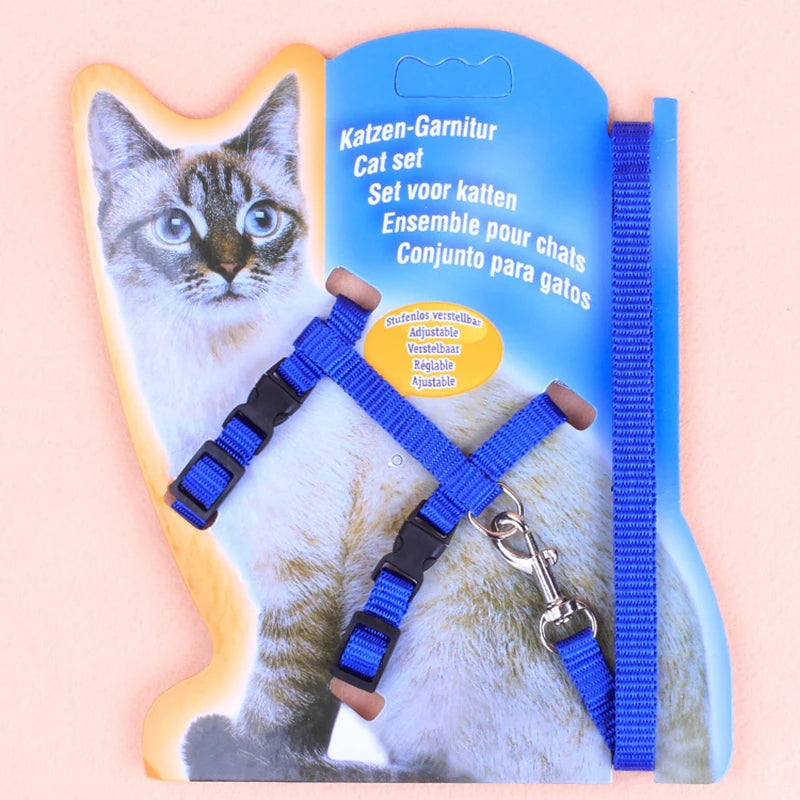 Cat leash